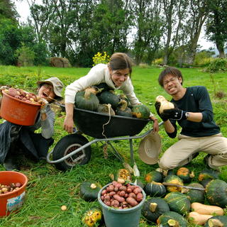 Combine work and fun when you volunteer with WWOOF