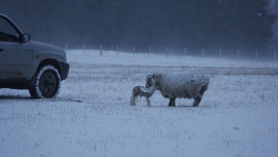 Mum looking after her baby in an early snow