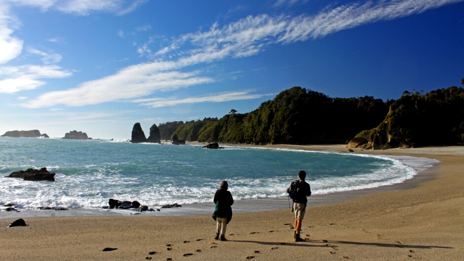The Moeraki Coast provides some stunningly wild coastal walks and the chance to see penguins, seals & dolphins