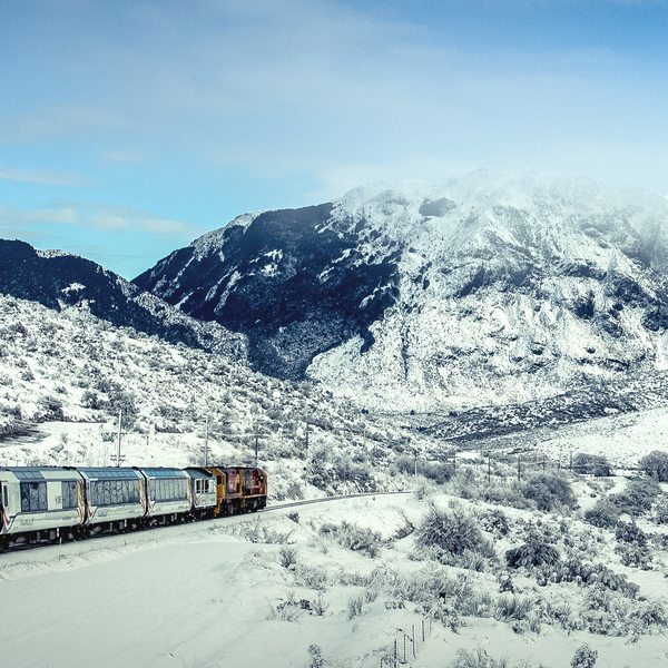 The Tranz Alpine - one of the best train journeys in the world.