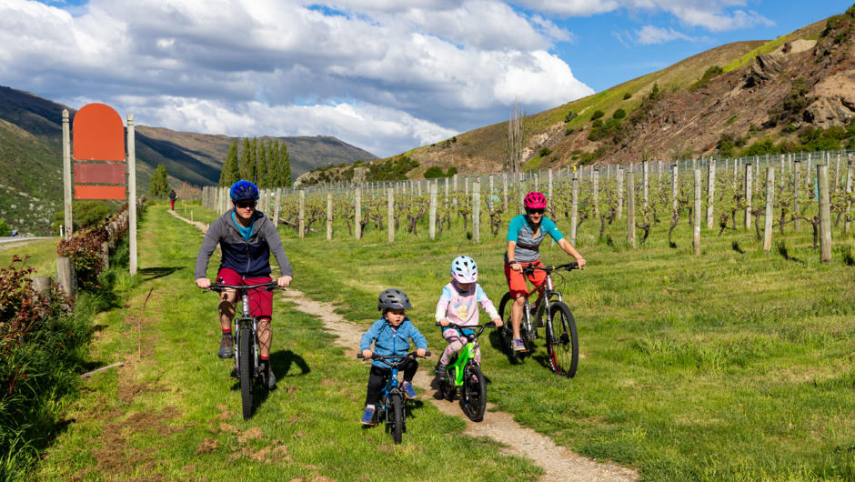 Biking the Wine Trail in the Gibbston Valley