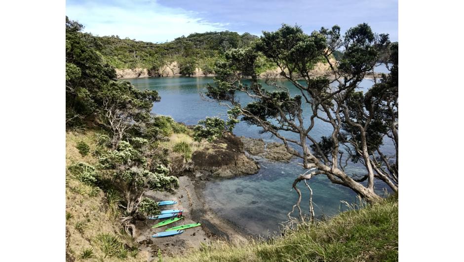 Private Stand Up Paddle Board Tour - Tutukaka Coast