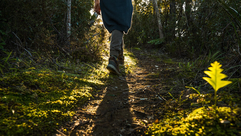 The first part of the trek takes you along a historic tramline track.