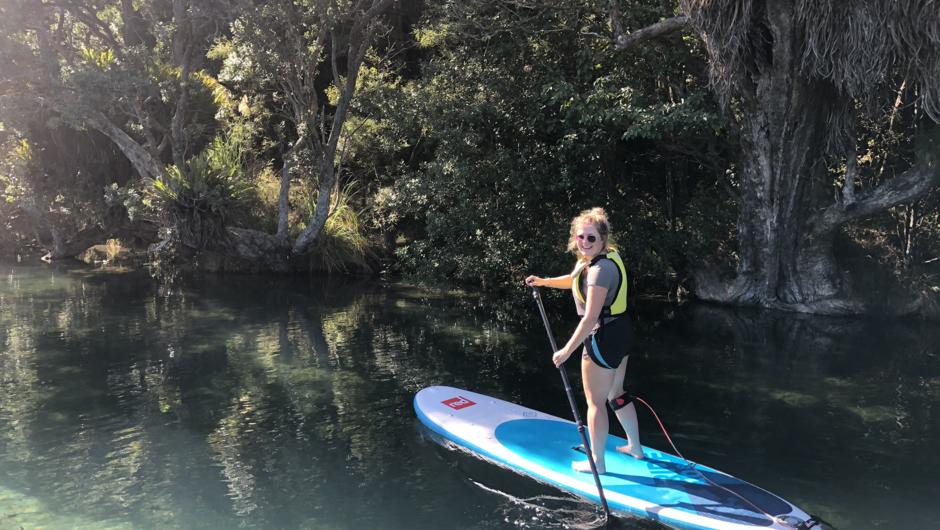 Matapouri Estuary Stand Up Paddle board tour