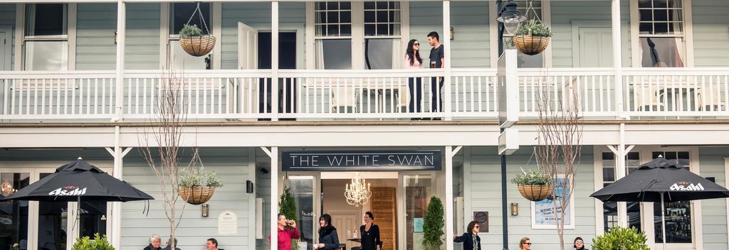 The White Swan Greytown