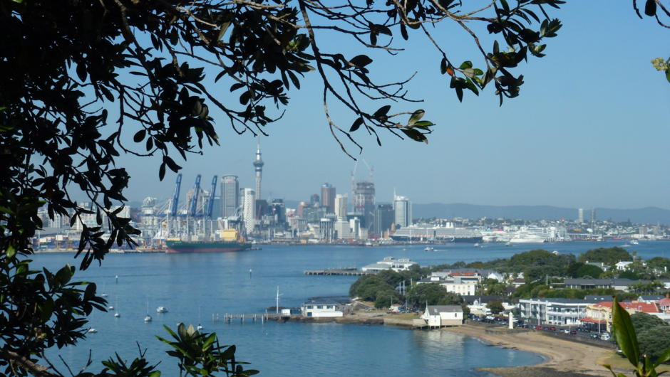 Auckland City Small Group Full Day Tour Including East and West Coast Beaches