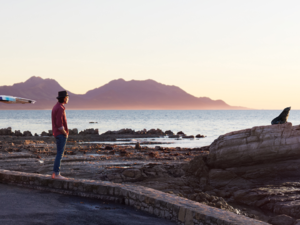 Seals are easy to spot along Kaikoura's coastline