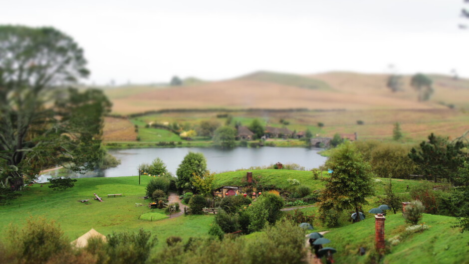 Hobbiton Movie Set