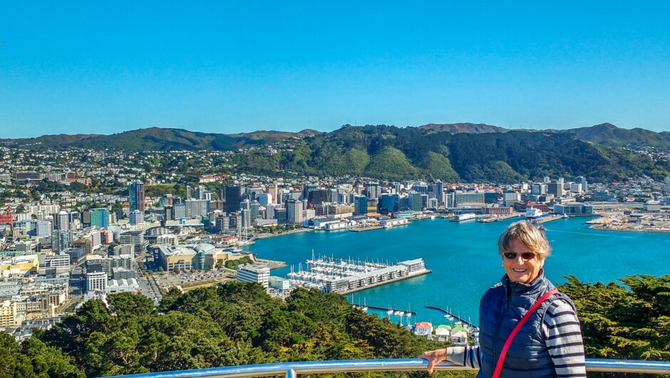 Wellington Harbour from the Mt Victoria Lookout