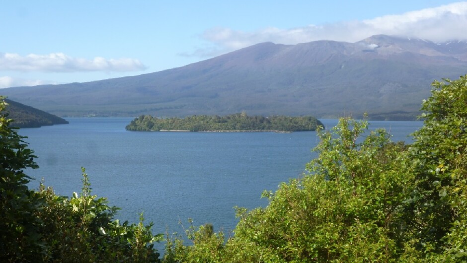 Opotaka Scenic Views overseeing Mt Tongariro.