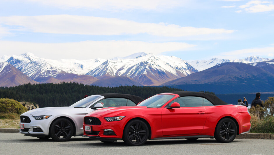 Mustang Convertibles for hire