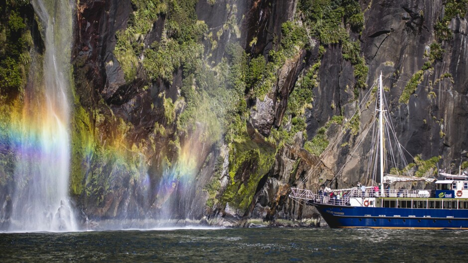 Milford Sound cruise