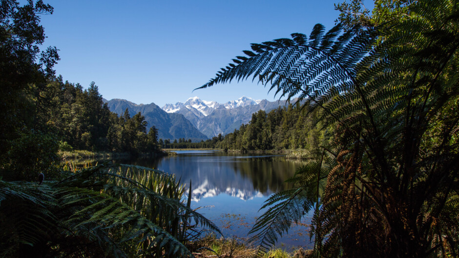 Jim Kullnat Lake Matheson, NZ - west of Fox Glacier.jpg