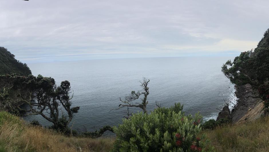 The Saddle, Whale Island.  Looking out to White Island - Whakaari.
