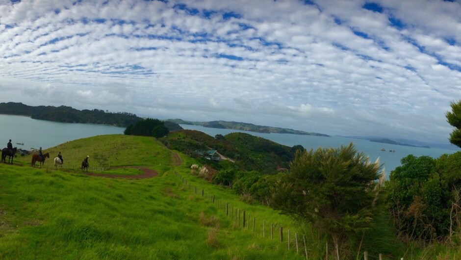 Waiheke Horse Tours