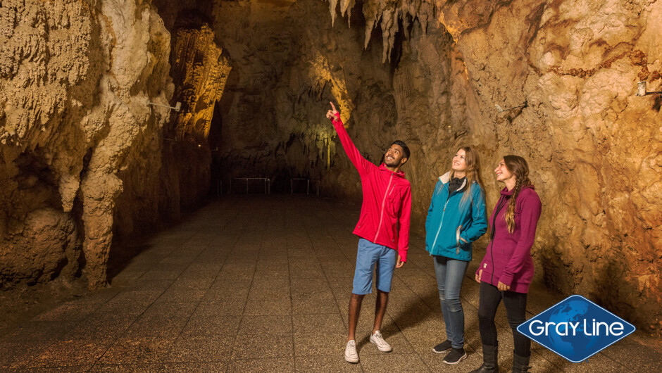Gray Line Hobbiton and Waitomo day tour - Cathedral Cave
