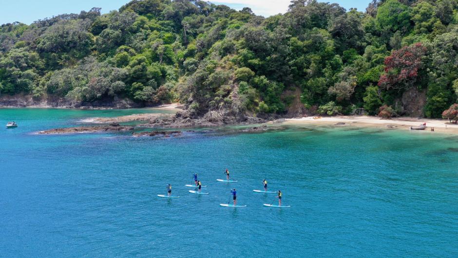 Tutukaka Coast Stand up Paddle Board Tour
