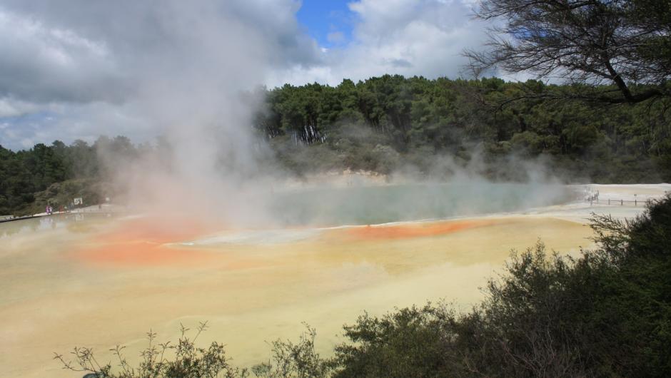 Rotorua Geothermal Wonderland