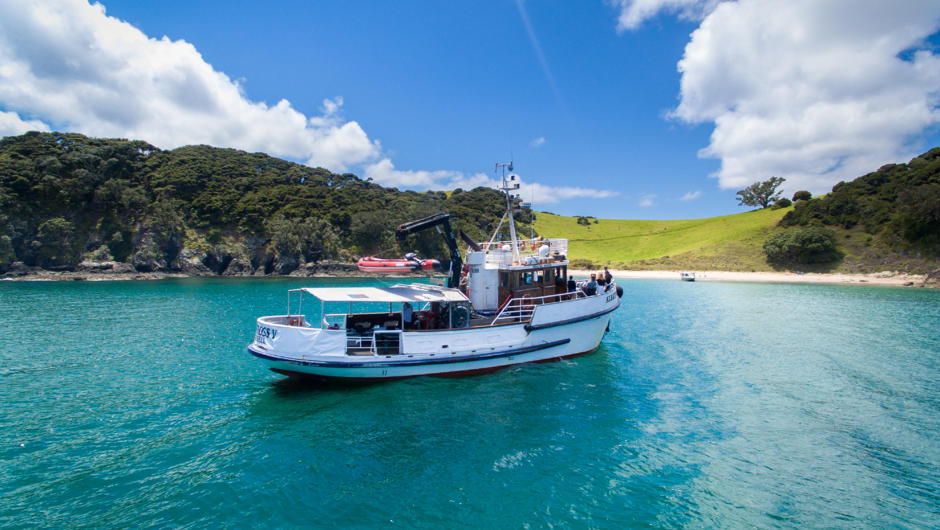 Best things to do Bay of Islands