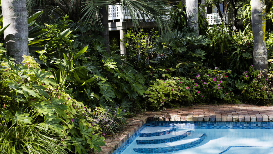 Relax in our luxurious sub tropical garden
