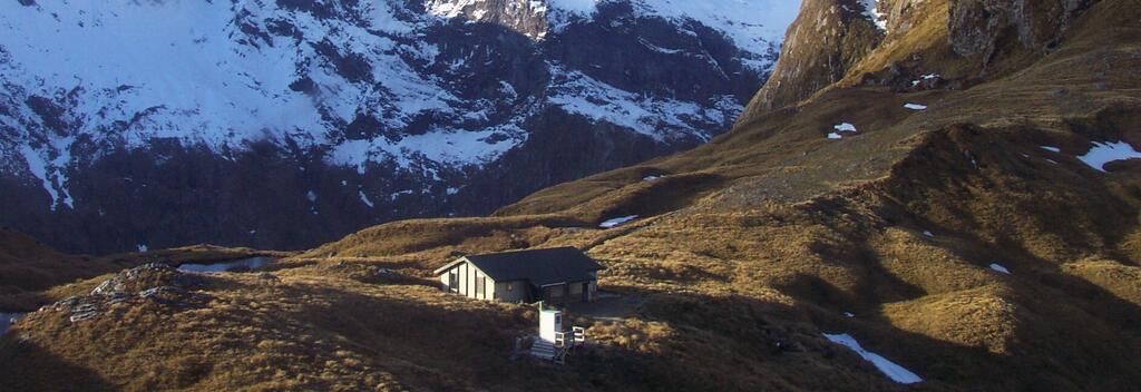 MacKinnon Pass - Milford Track