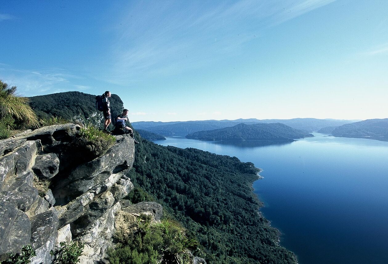 Journey into Te Urewera, the home of the Tūhoe people and a national park with living person status. Here, you'll discover spectacular rainforest, wetlands, and a 'goblin forest'.