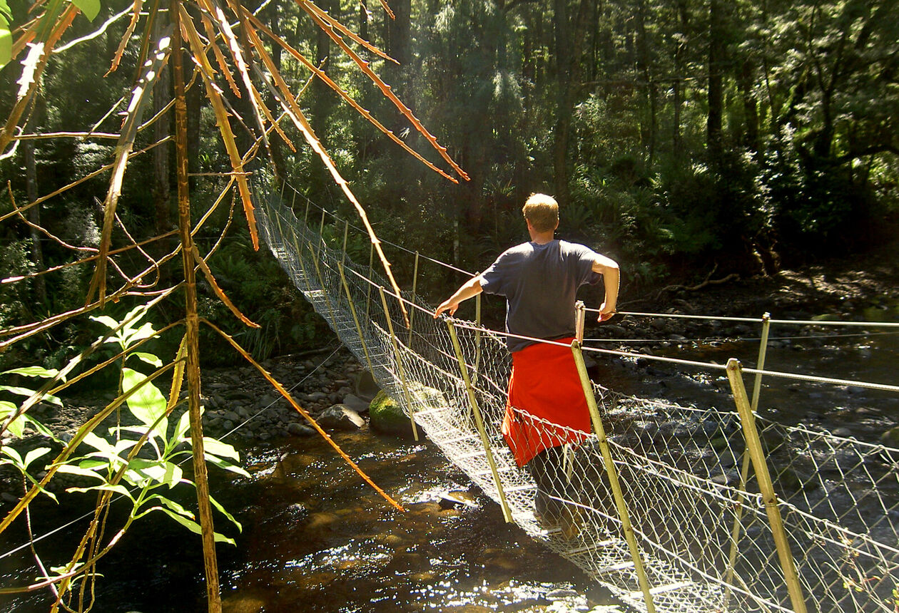 This walk well-formed track has it all, from rushing rapids and spectacular views to rare birds and delicate orchids.