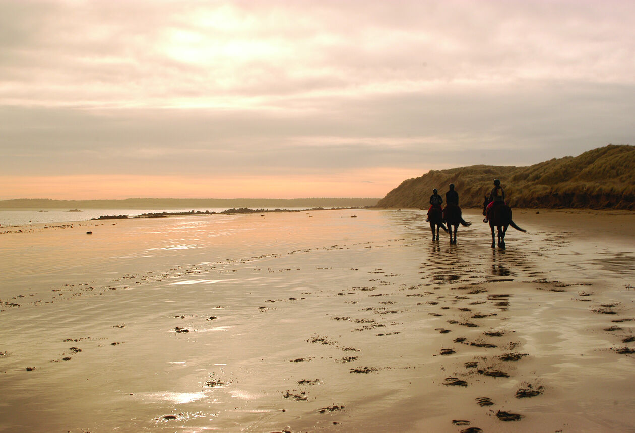 Oreti Beach was Burt Munro's race track - a 26 kilometre stretch of perfectly smooth sand.