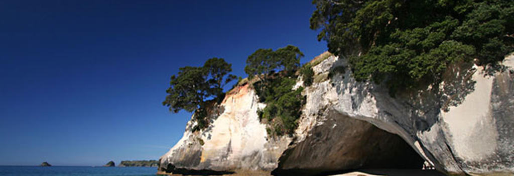 The famous Cathedral Cove, licked by the Pacific Ocean.