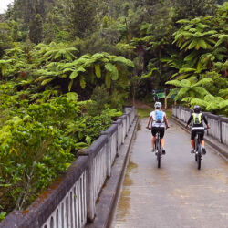 Two cyclists crossing over the Bridge to Nowhere