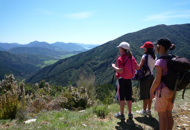 Follow an old gold miners trail on this challenging day walk.