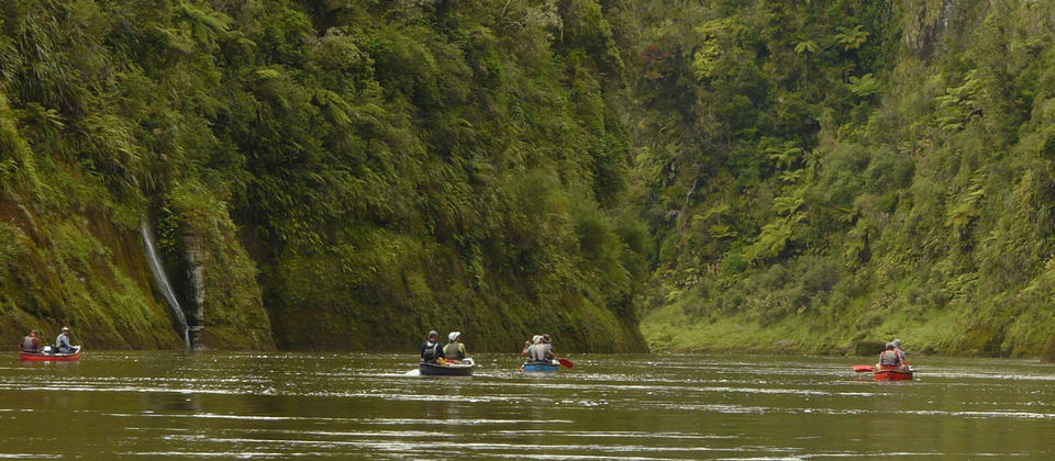 Canoeing on Whanganui River