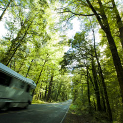 Campervan driving on Milford Road
