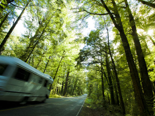 Campervan driving on Milford Road