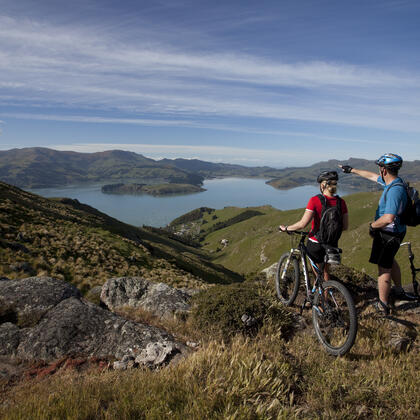 Overlooking the harbour.