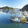 Picton is a charming ferry town where the Interislander ferry arrives and leaves from.