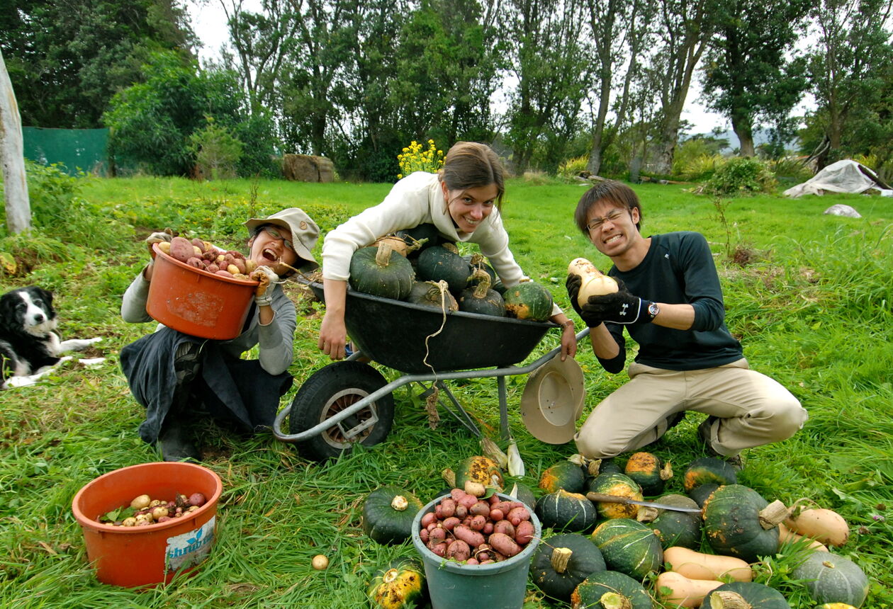WWOOF - World Wide Opportunities on Organic Farms.