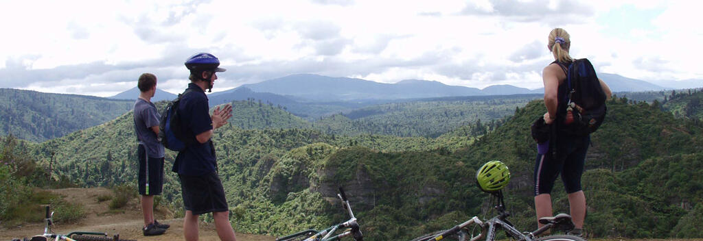 野鳥のすみかとなっている原生林の中を走るジグザグ道42トラバースは、ニュージーランド旅行の忘れられない思い出になるはずです。
