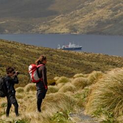 Visiting the Subantarctic Islands