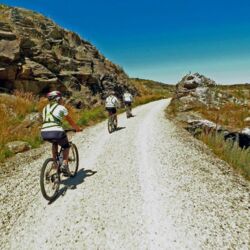 オタゴ・セントラル・レイル・トレイルでサイクリング