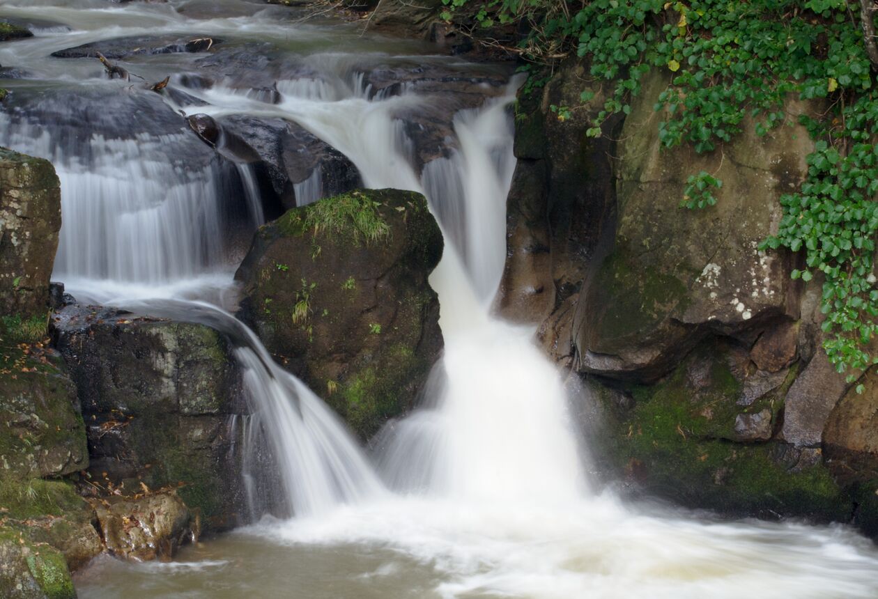 From the rural town of Ōtaki you can plan expeditions into the Tararua Forest Park, where there are great hiking and hunting opportunities.