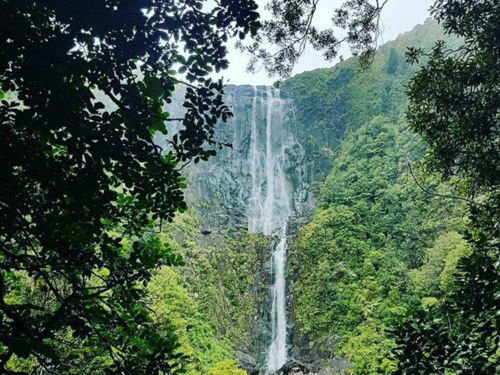 Enjoy the beautiful views hidden away in the small town of Te Aroha