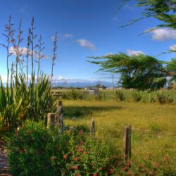 Blick auf die ländliche Umgebung.