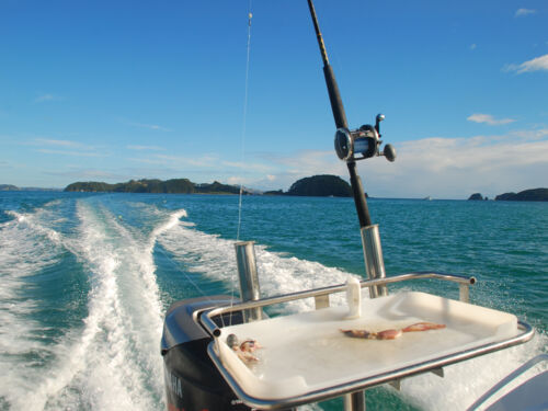 Bay of Islands, New Zealand