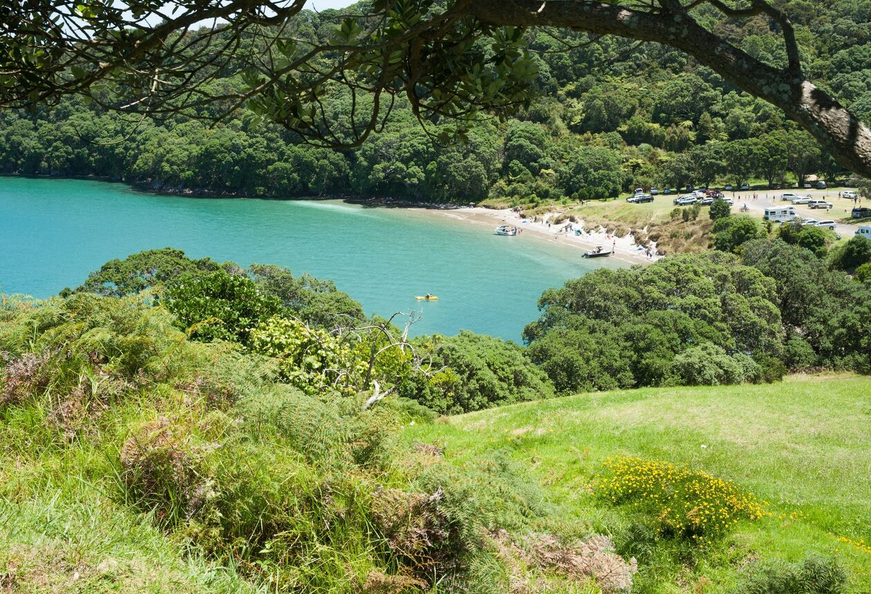 Once a gold town, always a gold town. Since 1878, Waihī has been on a treasure hunt. Come and see the richest gold mine in New Zealand.