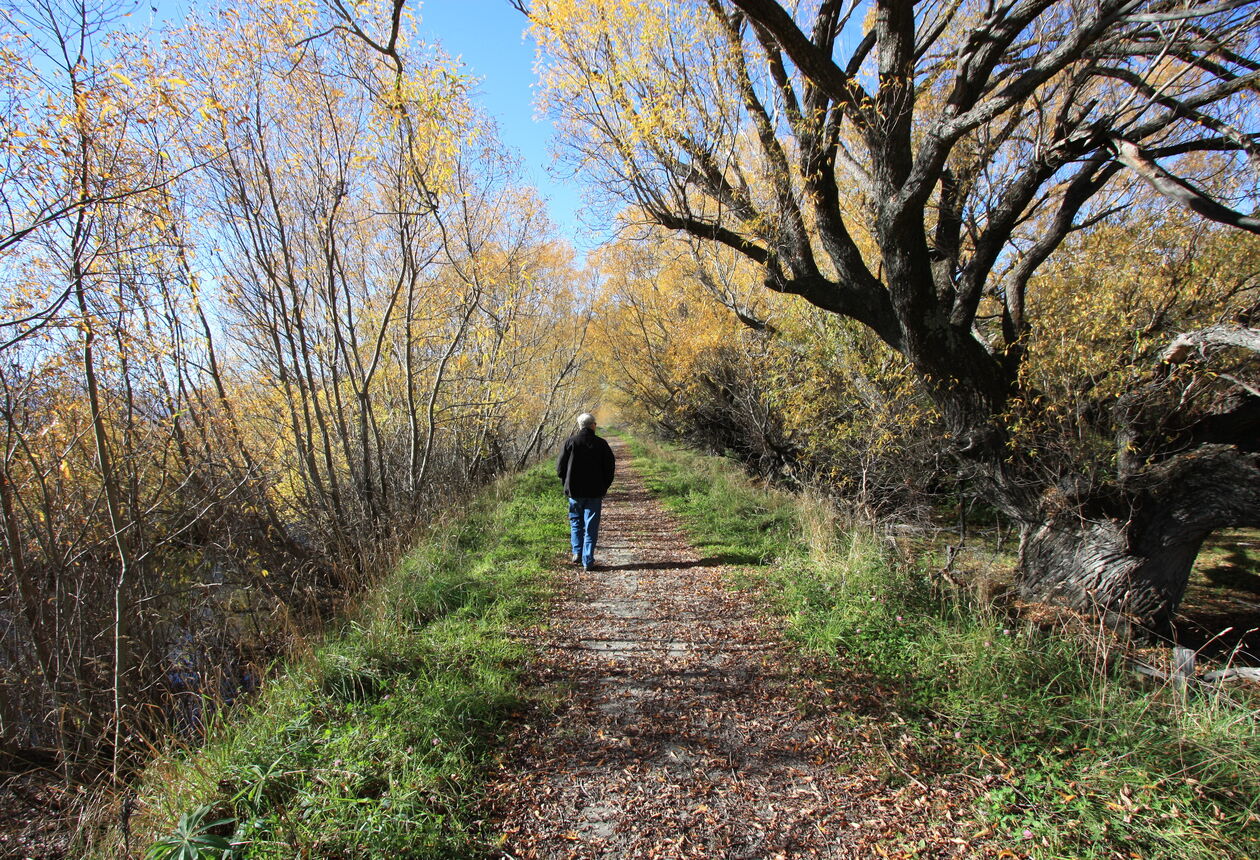 Discover New Zealand's iconic hiking and walking trails for an adventure worth travelling for. 