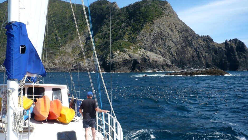 ケープ・ブレット周辺でセーリング