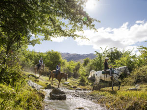 Explore the South Island wilderness by horseback