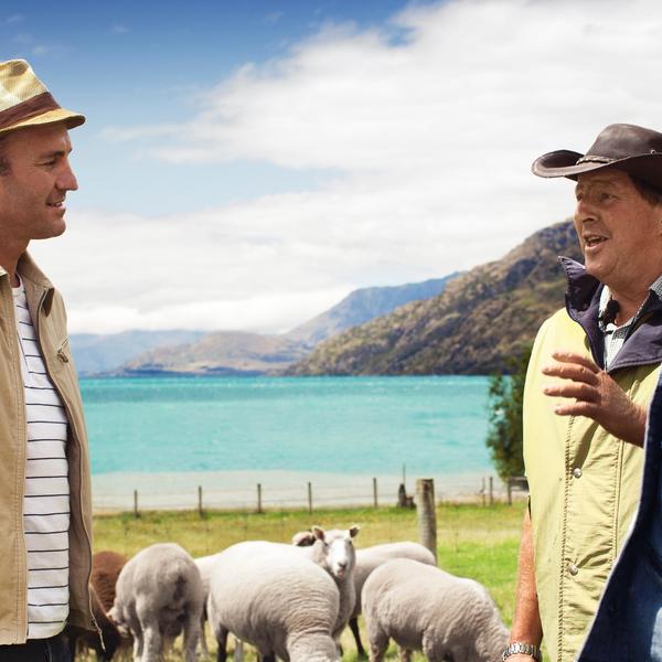 From Queenstown, cruise to Walter Peak High Country Farm. Here you can enjoy a walking farmyard tour, feed sheep and meet highland cattle.