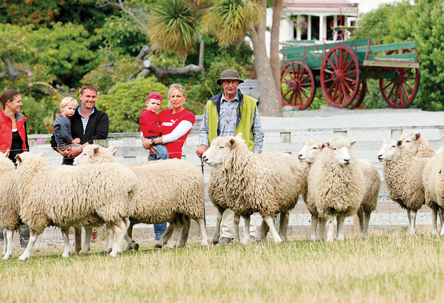 Bauernhöfe sind ein wichtiger Bestandteil von Neuseeland. überall auf der Nord- und der Südinsel sieht man grasendes Vieh auf weitem Farmland.